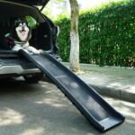 dog ramp for large dogs​