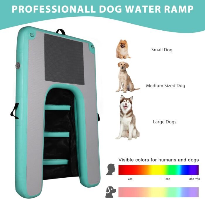 dog pool ramp​