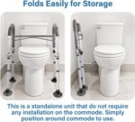 toilet safety rail