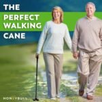 honeybull walking cane