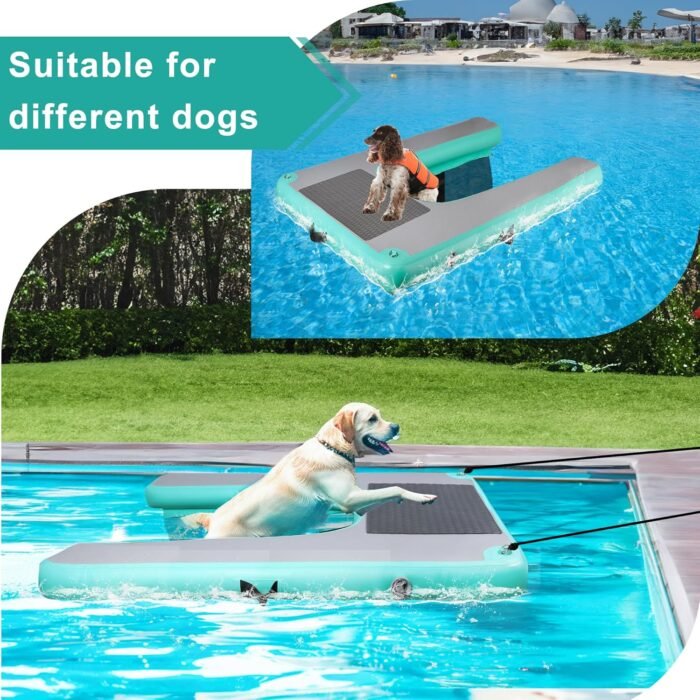 dog pool ramp​