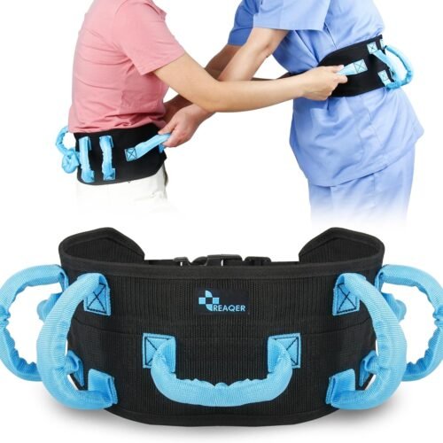 transfer belt