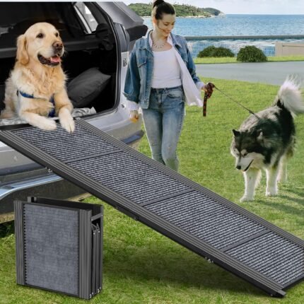 pontoon dog ramp