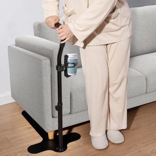 standing assist device